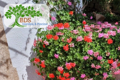 Manutenzioni Giardini, a Porto Cervo e Costa Smeralda