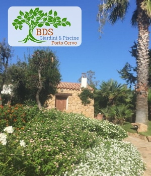 Vasi ornamentali, manutenzione giardini, irrigazione e potature, giardinieri a Porto Cervo Baja Sardinia title=