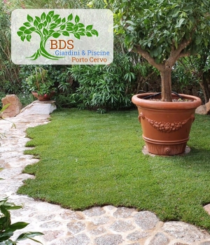 Piscine curate con acqua limpida ed igienizzata, spazi puliti, giardino di macchia mediterranea, Porto Cervo Costa Smeralda. 