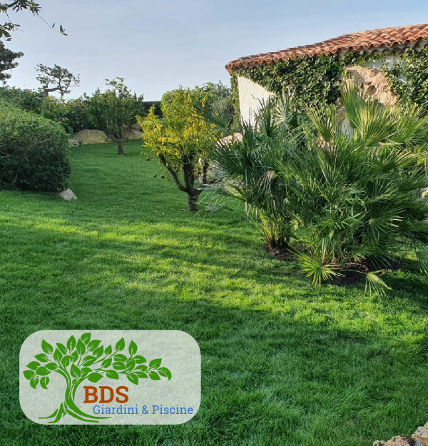 Potatura siepi rasatura prati Porto Cervo Baja Sardinia Costa Smeralda