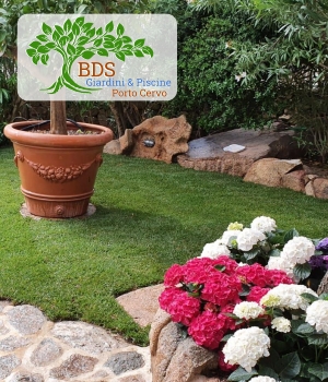 Creazione giardini, impianto e manutenzione arbusti macchia mediterranea, piante aromatiche, giardino curato Porto Cervo Costa Smeralda Arzachena 