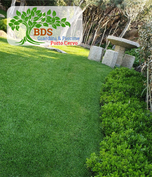 Vasi ornamentali, manutenzione giardini, irrigazione e potature, giardinieri a Porto Cervo Baja Sardinia title=