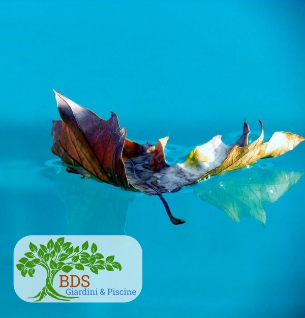 Manutentore Piscine Porto Cervo Baja Sardinia Costa Smeralda